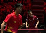 开云官方app入口-包含德国乒乓球队轻取中国乒乓球队，张本智和爆发神勇的词条