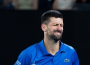 开云体育-德国网球队强势欧洲网球队，德约科维奇惊艳世界的简单介绍