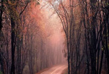 开云足球直播-关于阿扎尔受伤回复良好，或将成为切尔西收购计划目标的信息